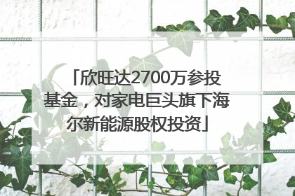 欣旺达2700万参投基金，对家电巨头旗下海尔新能源股权投资