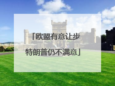 欧盟有意让步 特朗普仍不满意