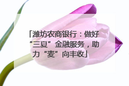 潍坊农商银行：做好“三夏”金融服务，助力“麦”向丰收