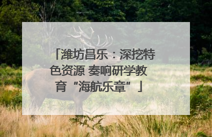 潍坊昌乐：深挖特色资源 奏响研学教育“海航乐章”