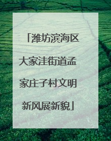 潍坊滨海区大家洼街道孟家庄子村文明新风展新貌