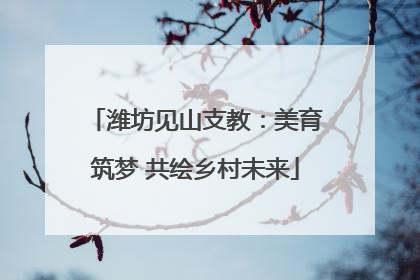 潍坊见山支教：美育筑梦 共绘乡村未来