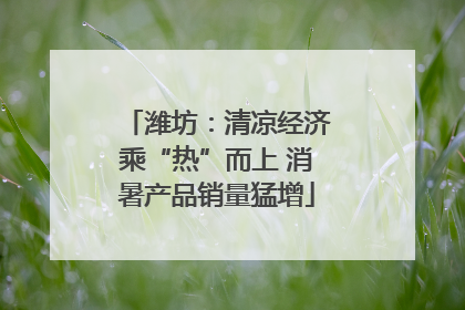 潍坊：清凉经济乘“热”而上 消暑产品销量猛增