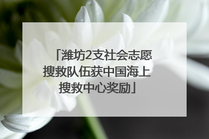 潍坊2支社会志愿搜救队伍获中国海上搜救中心奖励