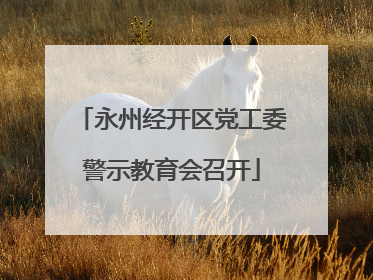 永州经开区党工委警示教育会召开