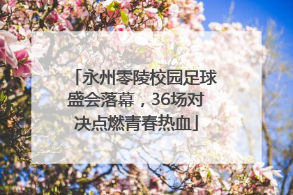 永州零陵校园足球盛会落幕，36场对决点燃青春热血