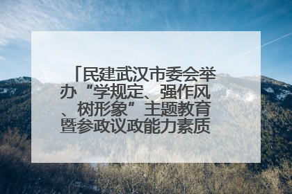 民建武汉市委会举办“学规定、强作风、树形象”主题教育暨参政议政能力素质提升培训班