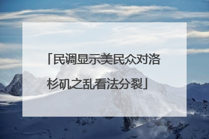 民调显示美民众对洛杉矶之乱看法分裂
