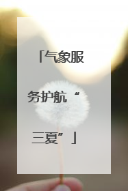 气象服务护航“三夏”