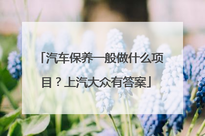 汽车保养一般做什么项目？上汽大众有答案