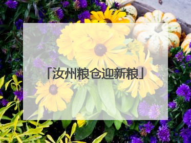 汝州粮仓迎新粮