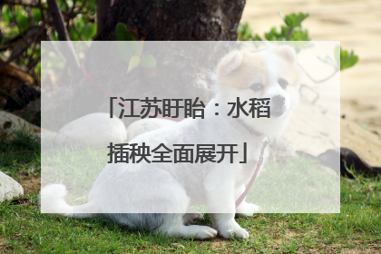 江苏盱眙：水稻插秧全面展开