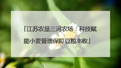 江苏农垦三河农场：科技赋能小麦管理保障夏粮丰收
