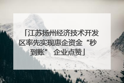 江苏扬州经济技术开发区率先实现惠企资金“秒到账” 企业点赞