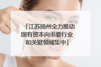 江苏扬州全力推动国有资本向重要行业和关键领域集中