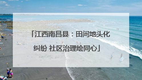 江西南昌县：田间地头化纠纷 社区治理绘同心