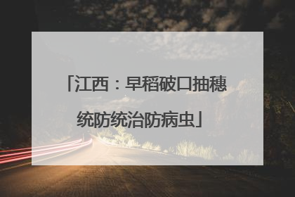 江西：早稻破口抽穗 统防统治防病虫