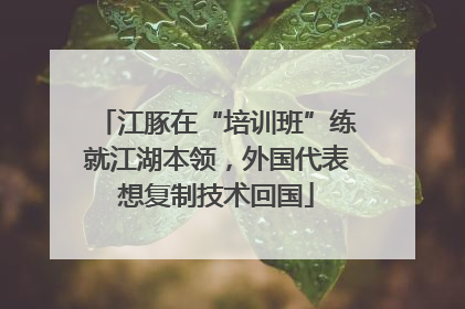 江豚在“培训班”练就江湖本领，外国代表想复制技术回国