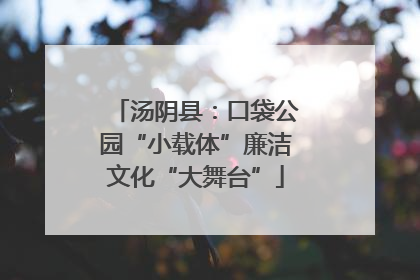 汤阴县：口袋公园“小载体”廉洁文化“大舞台”
