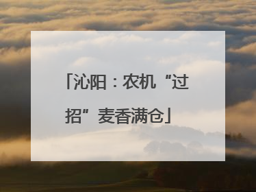 沁阳：农机“过招”麦香满仓