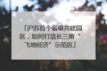 沪苏首个省级共建园区，如何打造长三角“飞地经济”示范区