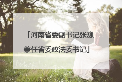 河南省委副书记张巍兼任省委政法委书记