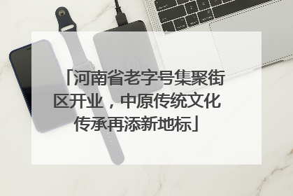 河南省老字号集聚街区开业，中原传统文化传承再添新地标