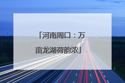 河南周口：万亩龙湖荷韵浓