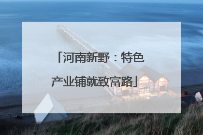 河南新野：特色产业铺就致富路