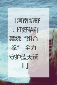 河南新野：打好秸秆禁烧“组合拳” 全力守护蓝天沃土