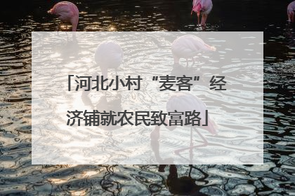 河北小村“麦客”经济铺就农民致富路