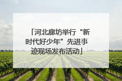 河北廊坊举行“新时代好少年”先进事迹现场发布活动