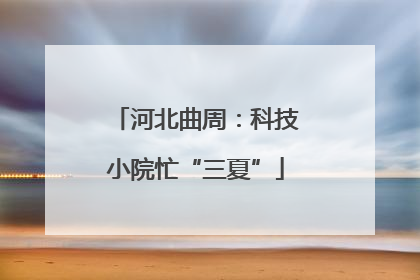 河北曲周：科技小院忙“三夏”