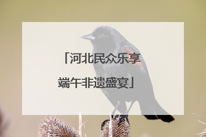 河北民众乐享端午非遗盛宴