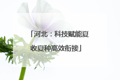 河北：科技赋能夏收夏种高效衔接