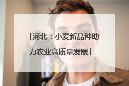 河北：小麦新品种助力农业高质量发展