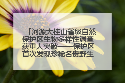 河源大桂山省级自然保护区生物多样性调查获重大突破——保护区首次发现珍稀名贵野生干巴菌与钝尾两头蛇