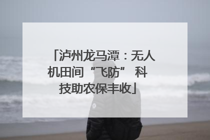 泸州龙马潭：无人机田间“飞防” 科技助农保丰收
