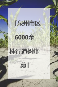 泉州市区6000余株行道树修剪