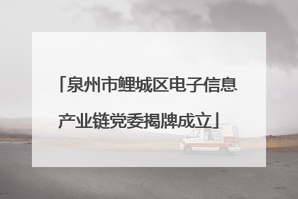 泉州市鲤城区电子信息产业链党委揭牌成立