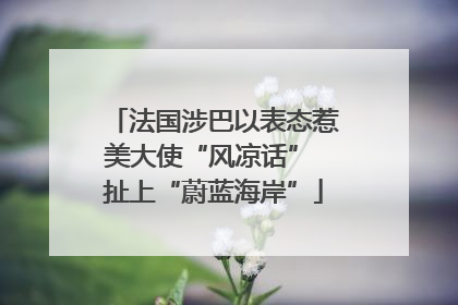 法国涉巴以表态惹美大使“风凉话” 扯上“蔚蓝海岸”