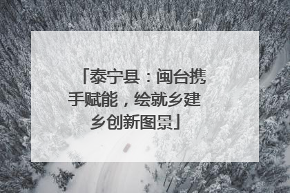 泰宁县：闽台携手赋能，绘就乡建乡创新图景
