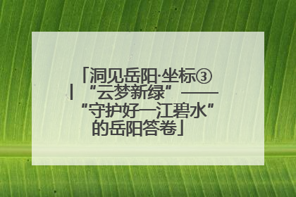 洞见岳阳·坐标③丨“云梦新绿”——“守护好一江碧水”的岳阳答卷