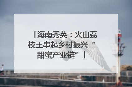海南秀英：火山荔枝王串起乡村振兴“甜蜜产业链”