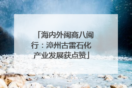 海内外闽商八闽行：漳州古雷石化产业发展获点赞