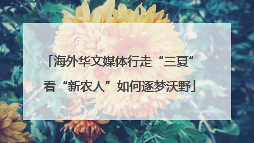 海外华文媒体行走“三夏” 看“新农人”如何逐梦沃野