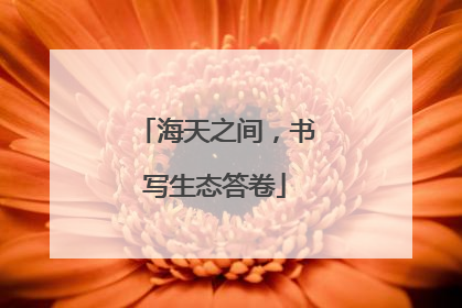 海天之间，书写生态答卷