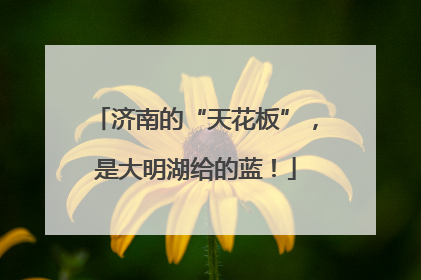 济南的“天花板”，是大明湖给的蓝！