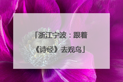 浙江宁波：跟着《诗经》去观鸟