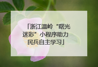 浙江温岭“曙光迷彩”小程序助力民兵自主学习